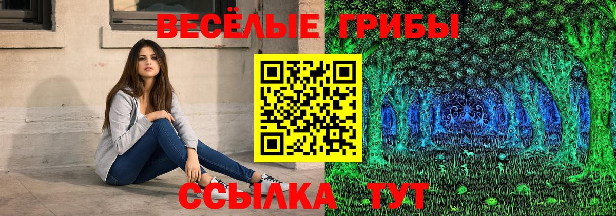 купить наркотики цена  Вход с VPN  Усть-Илимск  Галлюциногенные грибы GOLDEN TEACHER 