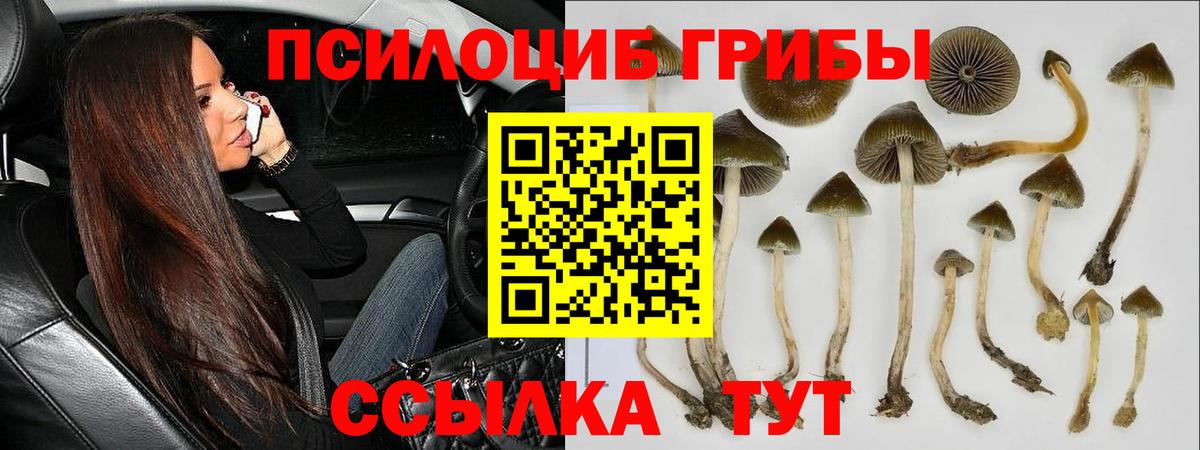 Псилоцибиновые грибы мухоморы Усть-Илимск